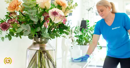 Kevätsiivouksen tarkistuslista – hoida helposti kevätsiivous ja ikkunanpesu