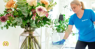 Kevätsiivouksen tarkistuslista – hoida helposti kevätsiivous ja ikkunanpesu