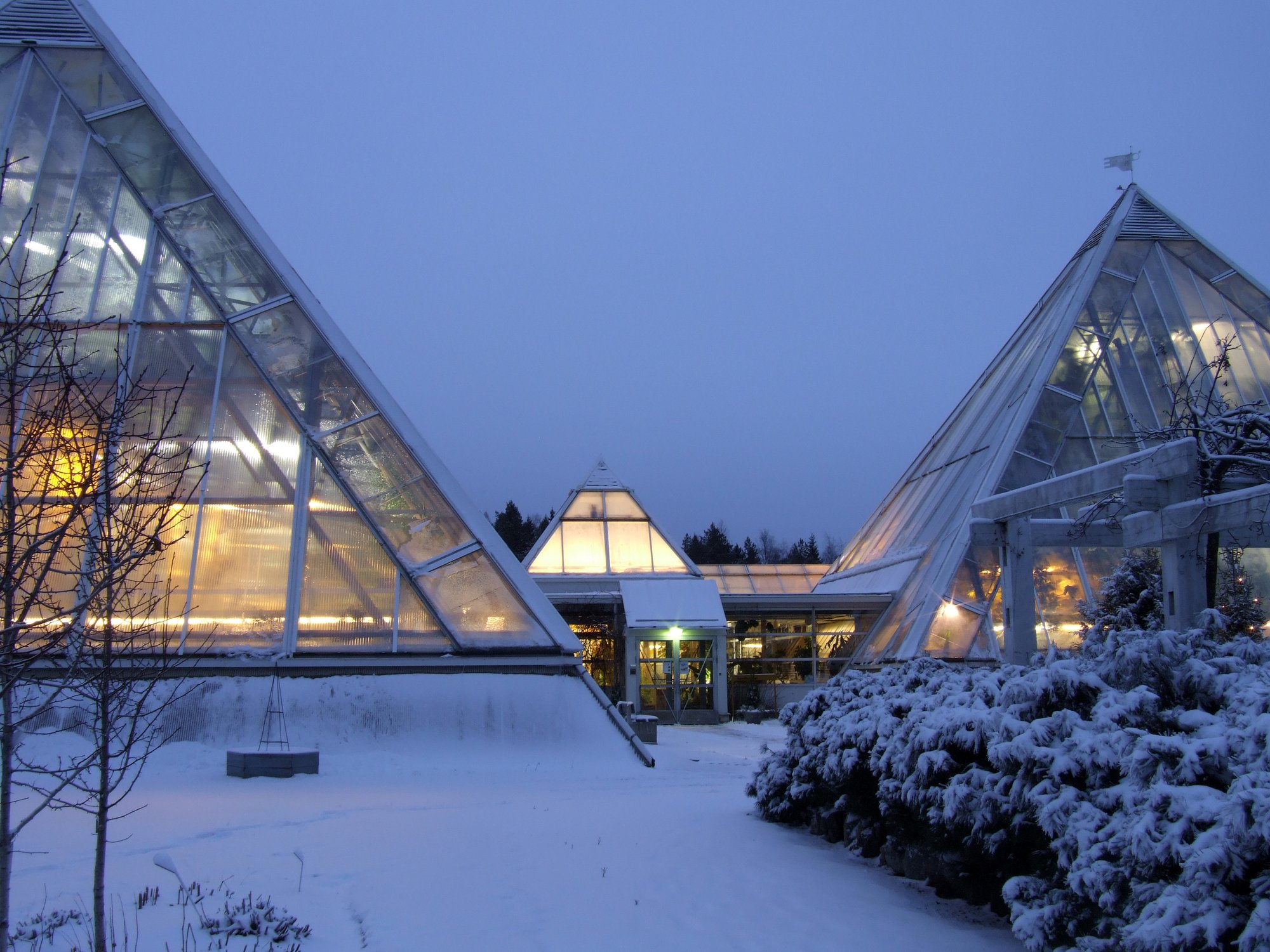 Oulu_University_Botanical_Gardens_20091206b
