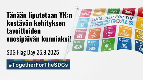 YK:n kestävän kehityksen tavoitteet 10 vuotta