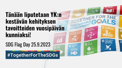 Mikä on SDG Flag Day?