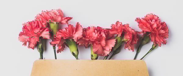 Palvelut kotiin läheiselle: Onni on apuna arjen jokaisessa käänteessä