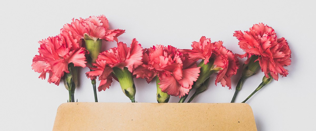 neilikka_uutiskirje neilikka_uutiskirje