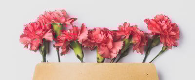 Palvelut kotiin läheiselle: Onni on apuna arjen jokaisessa käänteessä